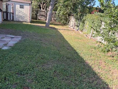 Lawn Care service in Seguin, 78155