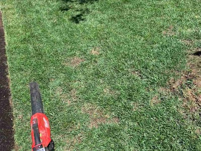 Lawn Care service in West Linn, 97068