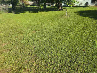 Lawn Care service in Sanford, 32771