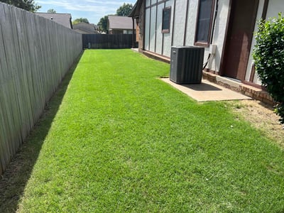 Lawn Care service in ,