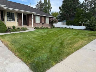 Lawn Care service in American Fork, 84003