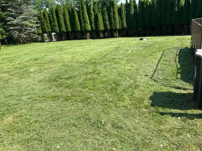 Lawn Care service in Stroudsburg, 18360