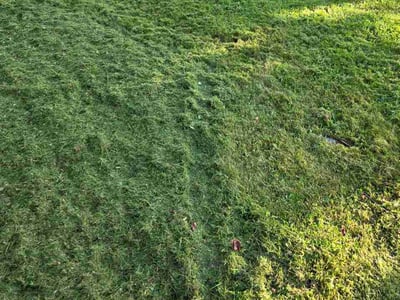 Lawn Care service in Stroudsburg, 18360