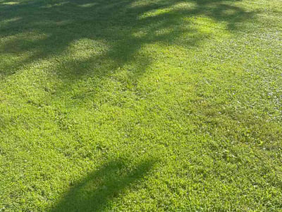 Lawn Care service in North Branch, 55056