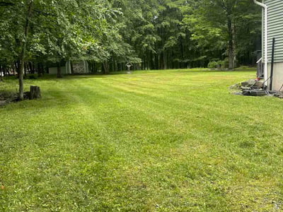 Lawn Care service in East Stroudsburg, 18301