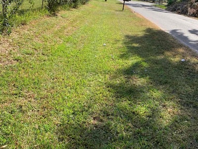 Lawn Care service in Land O Lakes, 34639