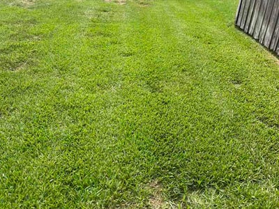 Lawn Care service in Brandon, 33511
