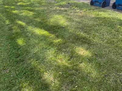Lawn Care service in Traverse City, 49684