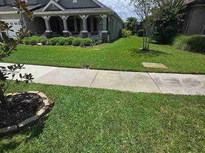 Lawn Care service in Apollo Beach, 33572