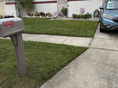Lawn Care service in Citrus Park, 33625