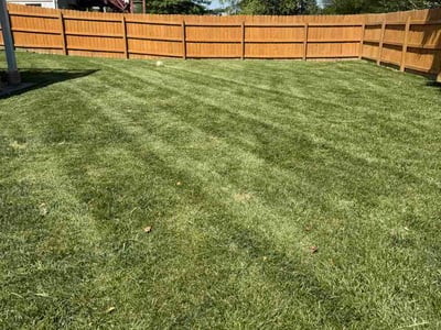 Lawn Care service in Lehi, 84043
