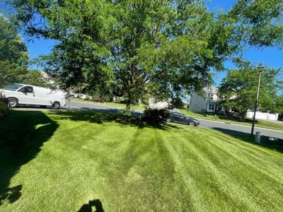 Lawn Care service in Shakopee, 55379
