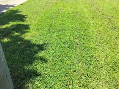 Lawn Care service in Wagoner, 74467