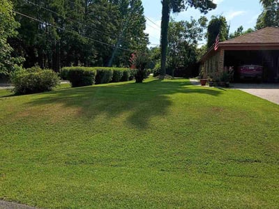 Lawn Care service in Hattiesburg, 39401
