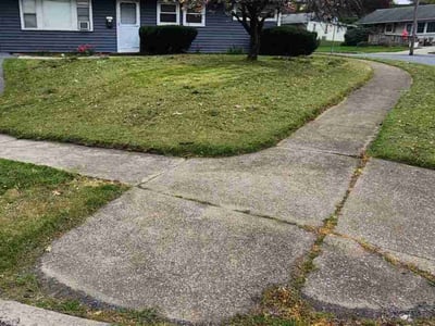 Lawn Care service in Camp Hill, 17011