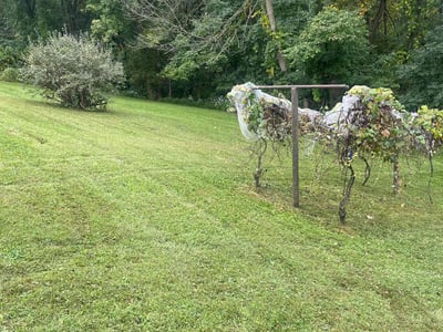 Lawn Care service in Elizabethtown, 17022
