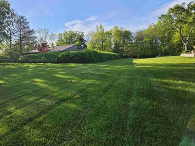 Lawn Care service in Englewood, 45322