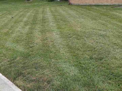 Lawn Care service in Englewood, 45322