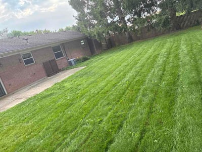 Lawn Care service in Englewood, 45322
