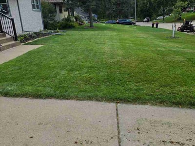 Lawn Care service in St Louis Park, 55426