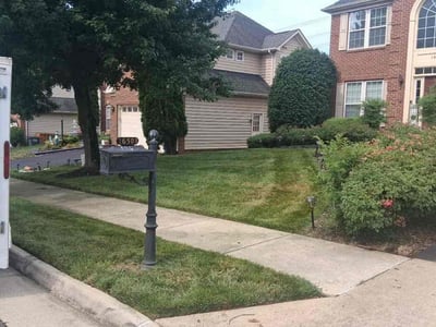 Lawn Care service in Woodbridge, 22191