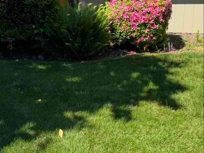 Lawn Care service in Canby, 97013
