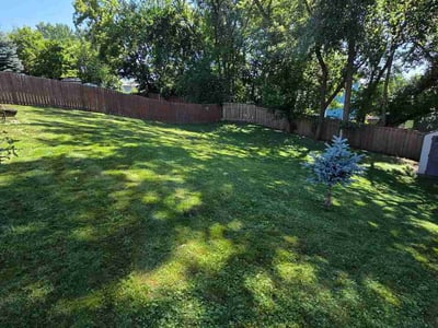 Lawn Care service in Prior Lake, 55372