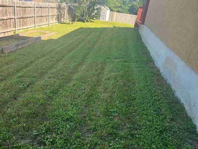 Lawn Care service in Schertz, 78154
