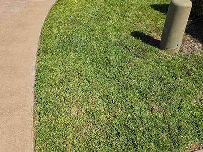 Lawn Care service in Tyler, 75702