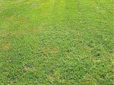Lawn Care service in Chantilly, 20151