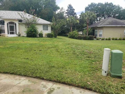 Lawn Care service in Lady Lake, 32159