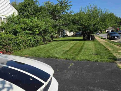 Lawn Care service in Bristow, 20136