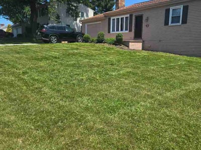 Lawn Care service in Enola, 17025