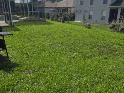 Lawn Care service in Eustis, 32726