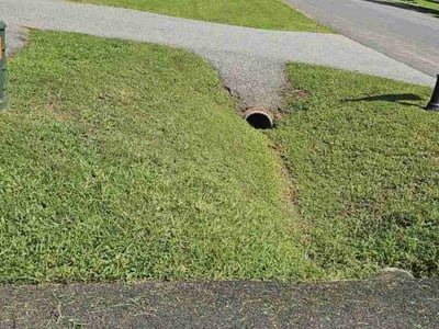 Lawn Care service in Richmond, 23219