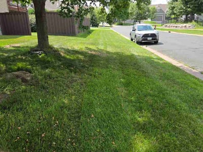 Lawn Care service in Blaine, 55434