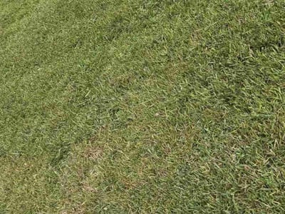 Lawn Care service in Richmond, 23219