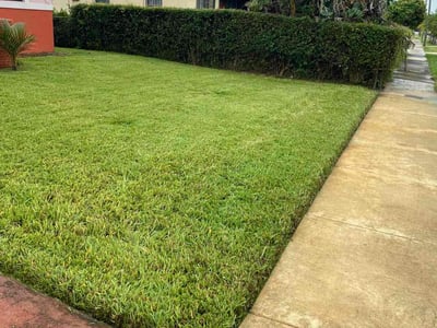 Lawn Care service in Miami Gardens, 33056