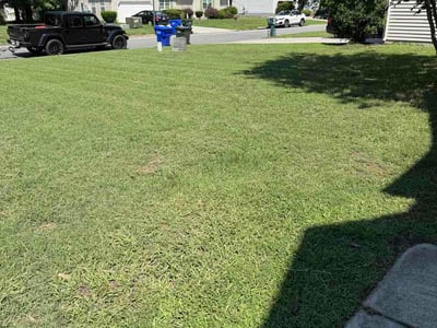 Lawn Care service in Ashland, 23005