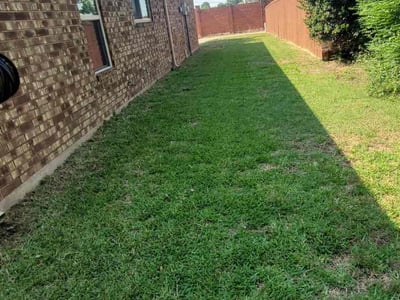 Lawn Care service in Randolph, 02368