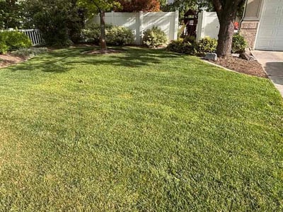 Lawn Care service in Pleasant Grove, 84062