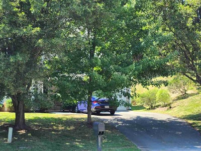 Lawn Care service in Fort Washington, 23936