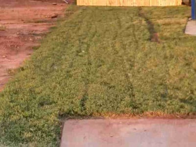 Lawn Care service in Norman, 73069