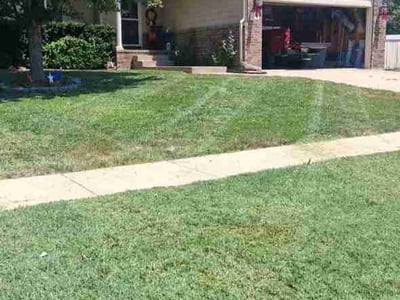Lawn Care service in Brigham City, 84302