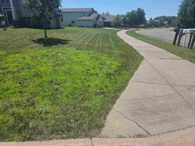 Lawn Care service in Saint Cloud, 56301