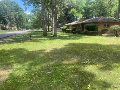 Lawn Care service in Lake Orion, 48362