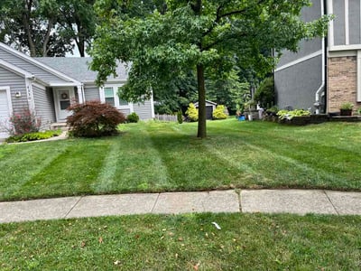 Lawn Care service in Gahanna, 43230