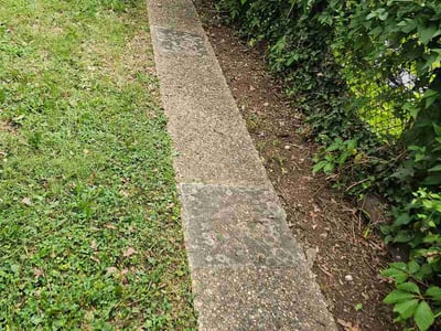 Lawn Care service in Reston, 20190