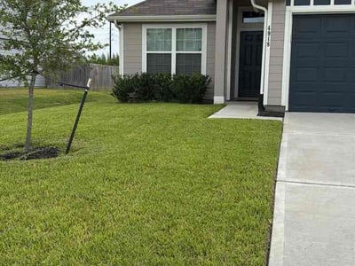Lawn Care service in Rosharon, 77583