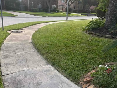 Lawn Care service in Humble, 77338